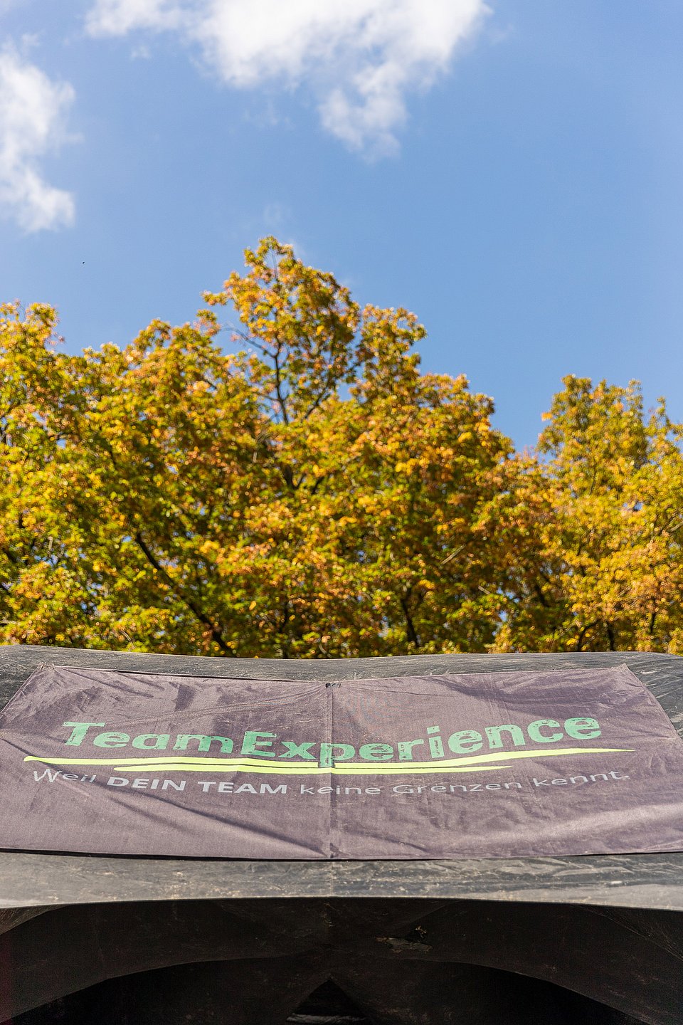 Banner der Team Experience, Wald, blauer Himmel